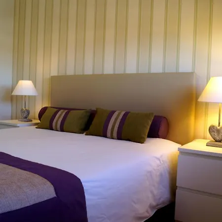 Welcome Here | Volga *